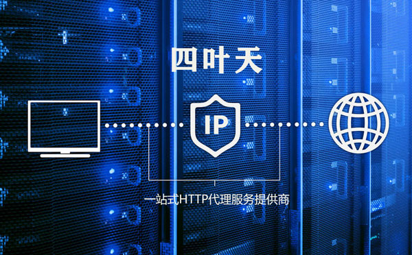 【南昌代理IP】高质量IP代理的最重要因素?